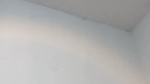 dalilasquirt1 online show from 02-11-26, 07:47