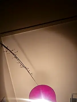 NiceHunter89 online show from 02-05-25, 10:22