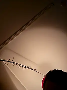 NiceHunter89 online show from 02-18-25, 05:20