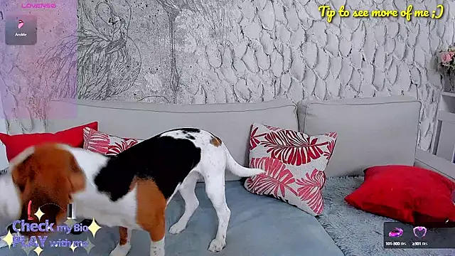  MarryGirl  online show from 01-10-25, 05:15