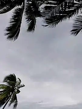 Luna-Natural online show from 11-29-25, 05:24