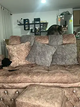 Snapshot of samanthaa_ chatting on 09-24-25, 01:24 samanthaa  online show from 09-24-25, 01:24