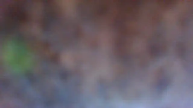 Hunzi123 online show from 06-07-26, 11:43
