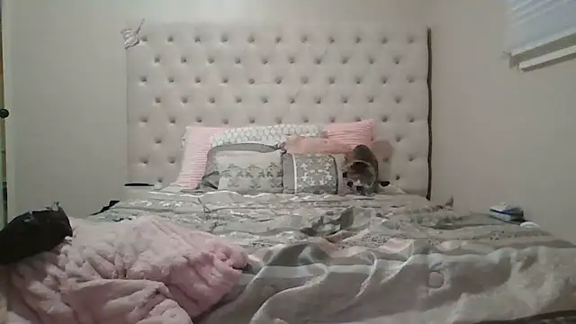 beautylovess online show from 12-13-25, 08:04