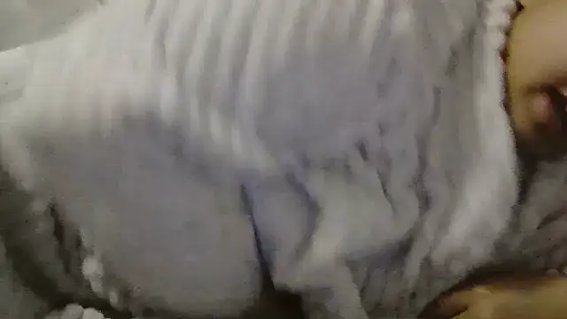 beautylovess online show from 04-04-26, 06:53