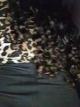 blerstefan1 online show from 11-03-25, 04:28