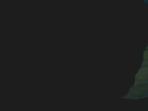 Latinjim29 online show from 12-15-25, 11:42