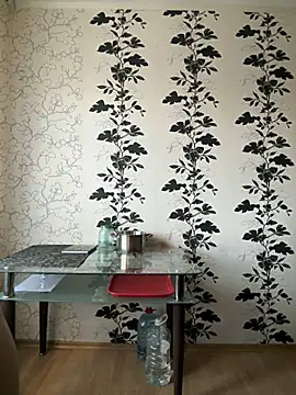 Snapshot of LORA_x chatting on 03-07-25, 02:34 LORA x online show from 03-07-25, 02:34