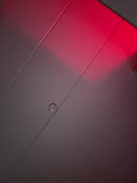 Amanita Bloom online show from 01-16-26, 04:16