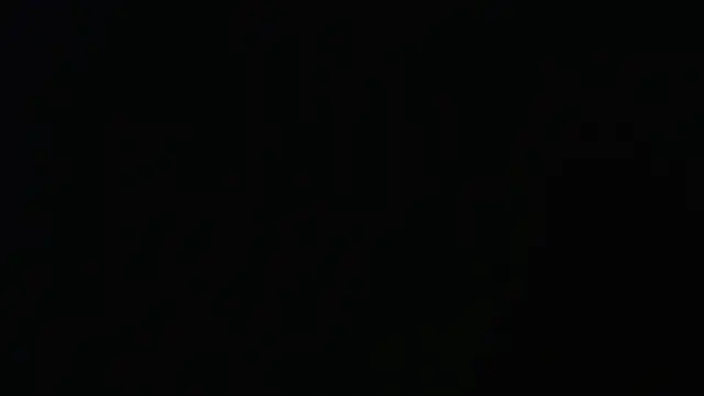 seeker797 online show from 03-17-26, 02:14