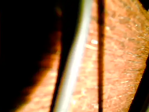 johnjohn622662 online show from 11-12-25, 04:22