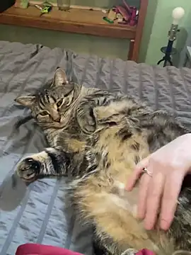 jaseyrae online show from 03-13-25, 08:54