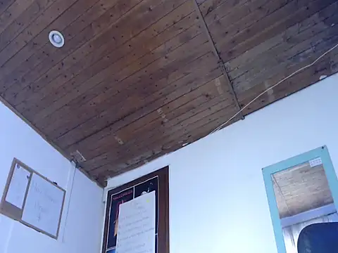 alisterxxx online show from 03-25-26, 02:38