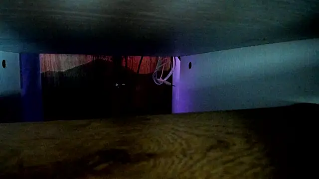 any sophia online show from 04-08-26, 06:31