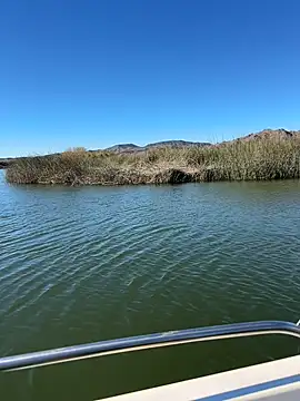 Goonwithoutclinching online show from 01-10-26, 09:10