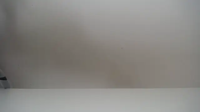 salomecastro  online show from 11-19-25, 06:30