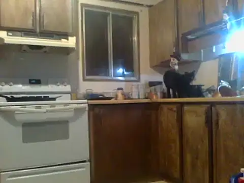 Snapshot of Ryoko_Momoko chatting on 01-28-25, 07:22 Ryoko Momoko online show from 01-28-25, 07:22