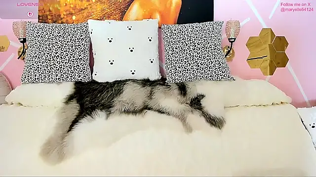 Maryelle online show from 01-31-26, 07:45