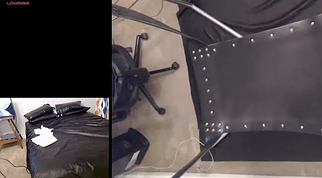 njdbear online show from 12-07-24, 02:03