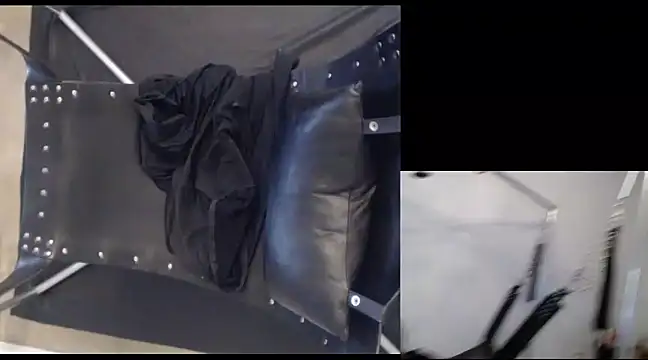 njdbear online show from 12-22-24, 09:53