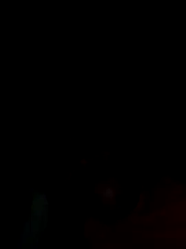 Creamesensation online show from 10-12-25, 08:59