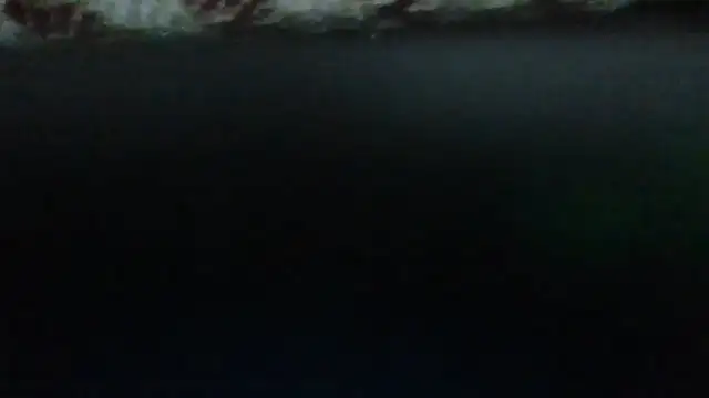 Leo Big online show from 09-23-25, 11:23