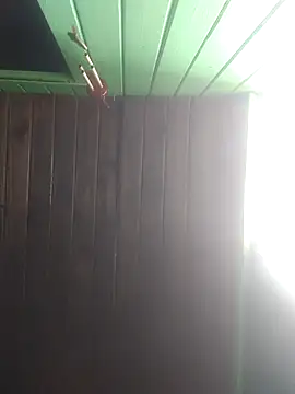 Snapshot of Alvaro2017 chatting on 02-22-26, 06:31 Alvaro2017 online show from 02-22-26, 06:31