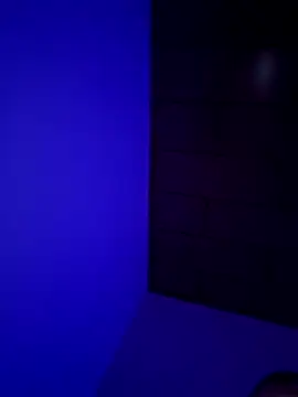 Pavelbure77 online show from 02-15-26, 12:44