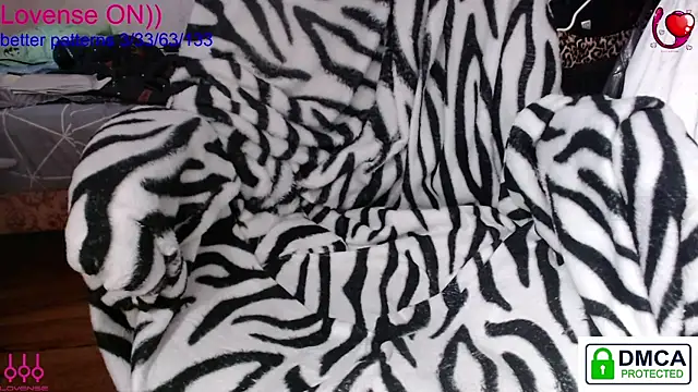 sweet cute cat online show from 02-08-26, 11:08