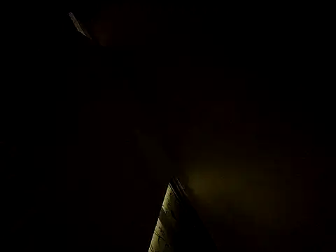 Snapshot of tropikboy chatting on 03-10-25, 12:28 tropikboy online show from 03-10-25, 12:28