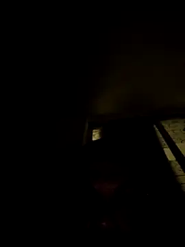 tropikboy online show from 11-08-25, 12:47