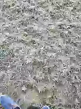 Snapshot of mister-dwt chatting on 03-05-25, 09:38 mister-dwt online show from 03-05-25, 09:38