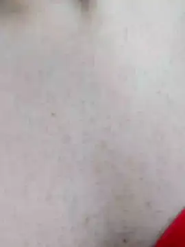 Snapshot of mister-dwt chatting on 12-19-24, 12:45 mister-dwt online show from 12-19-24, 12:45