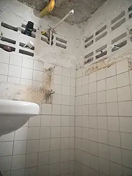 Snapshot of Carrington- chatting on 03-03-26, 05:42 Carrington- online show from 03-03-26, 05:42