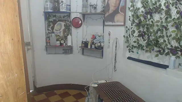 FunnyGrandma online show from 04-12-26, 08:01