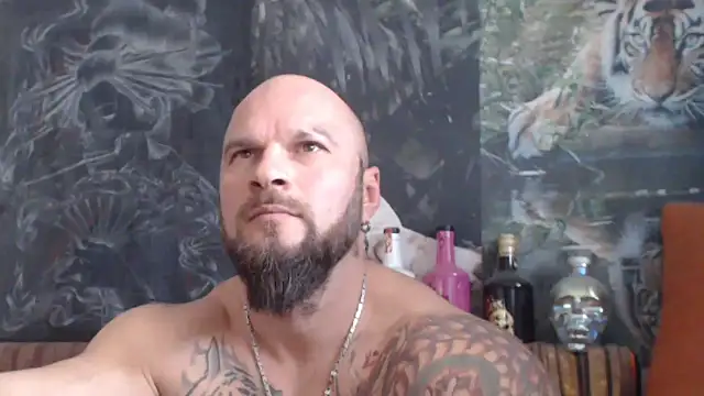 viking 30 online show from 11-06-25, 08:29