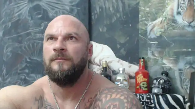 viking 30 online show from 06-06-26, 05:51