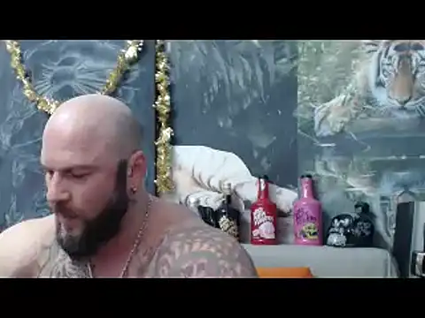 viking 30 online show from 02-11-26, 07:47