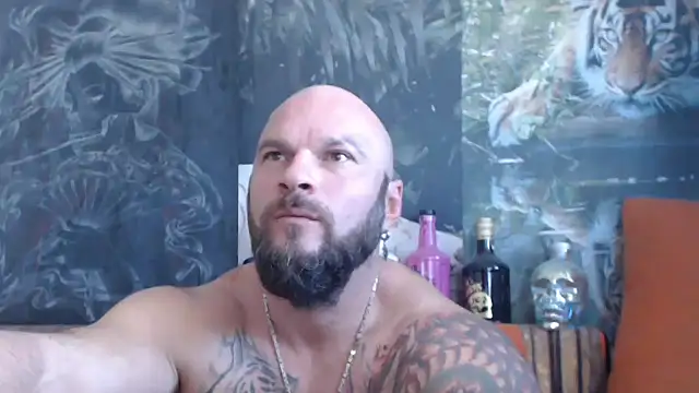 viking 30 online show from 09-16-25, 06:47
