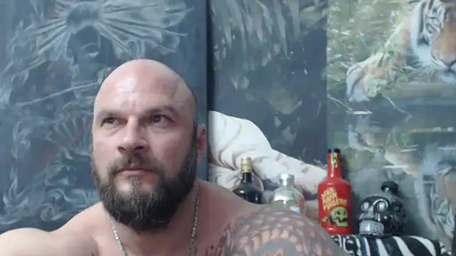 viking 30 online show from 05-29-26, 06:47