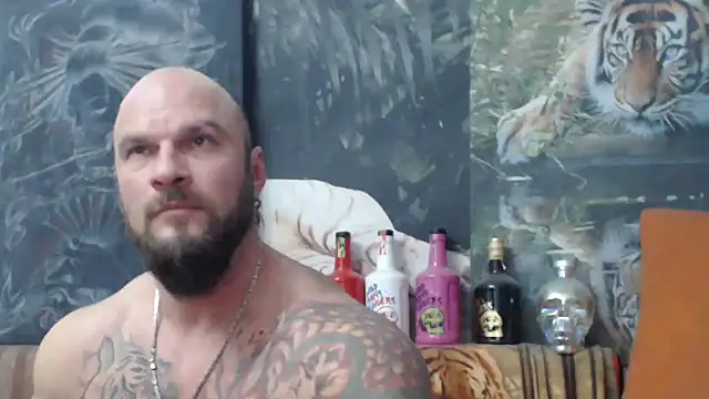 viking 30 online show from 11-15-25, 07:18