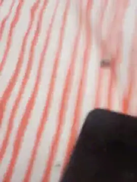 MRbigc23 online show from 05-31-26, 03:07