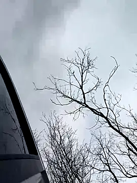 Model9798 online show from 12-22-25, 09:31