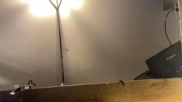 xdresserwithass online show from 02-26-26, 06:46