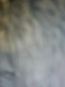 PhoenixDesirexh online show from 04-04-26, 03:40