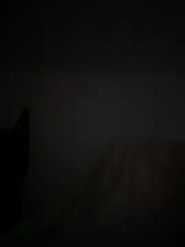 Marocainegroscul online show from 11-16-25, 07:02