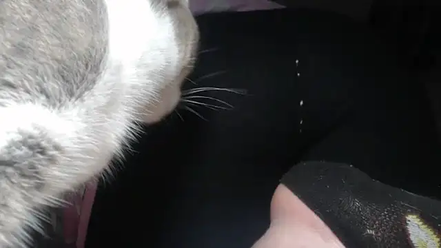 prettyangelsquirt online show from 04-14-26, 11:43