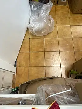 Mindnorthcam2 online show from 02-16-26, 07:40