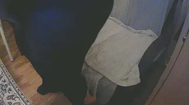 Snapshot of szadamo chatting on 12-11-24, 04:53 szadamo online show from 12-11-24, 04:53