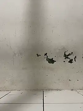 Snapshot of ditiya18 chatting on 02-24-25, 01:42 ditiya18 online show from 02-24-25, 01:42